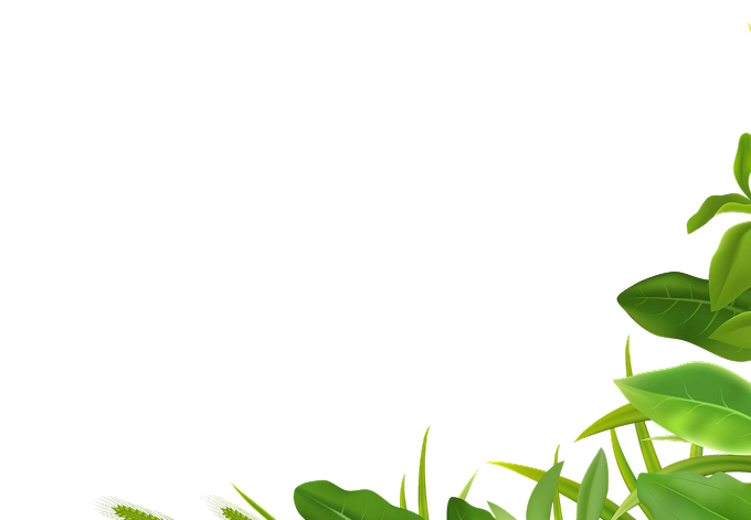 Aurelia Medical Recovery